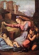 RAFFAELLO Sanzio Madonna with the Blue Diadem china oil painting reproduction